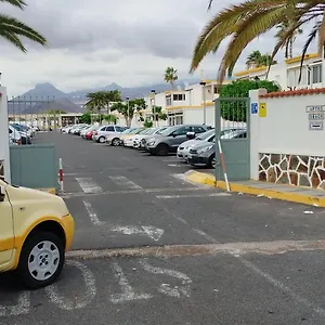 https://costa-del-silencio-el-drago.in-canary-islands.com